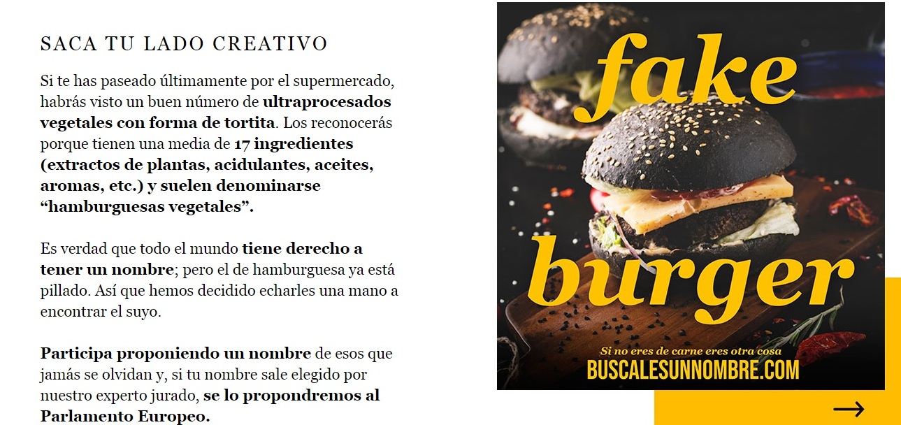 imagen principal noticia
