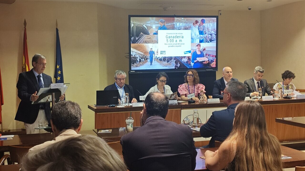 imagen principal noticia