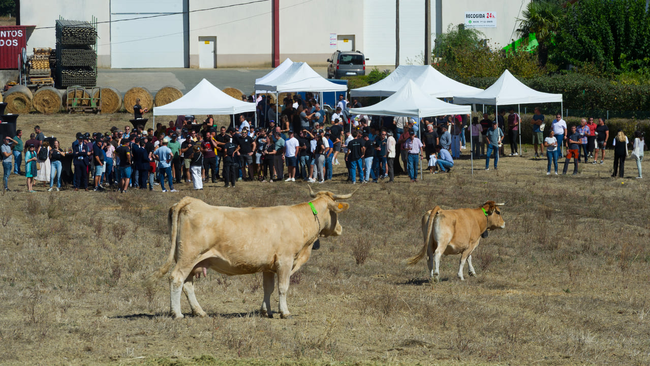 ganaderos conocen Vitoria ultimas innovaciones ganaderia precision Nofence