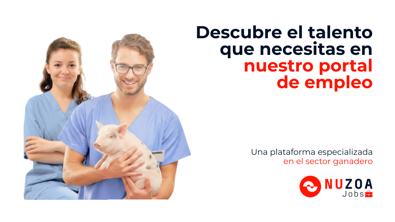 imagen principal noticia