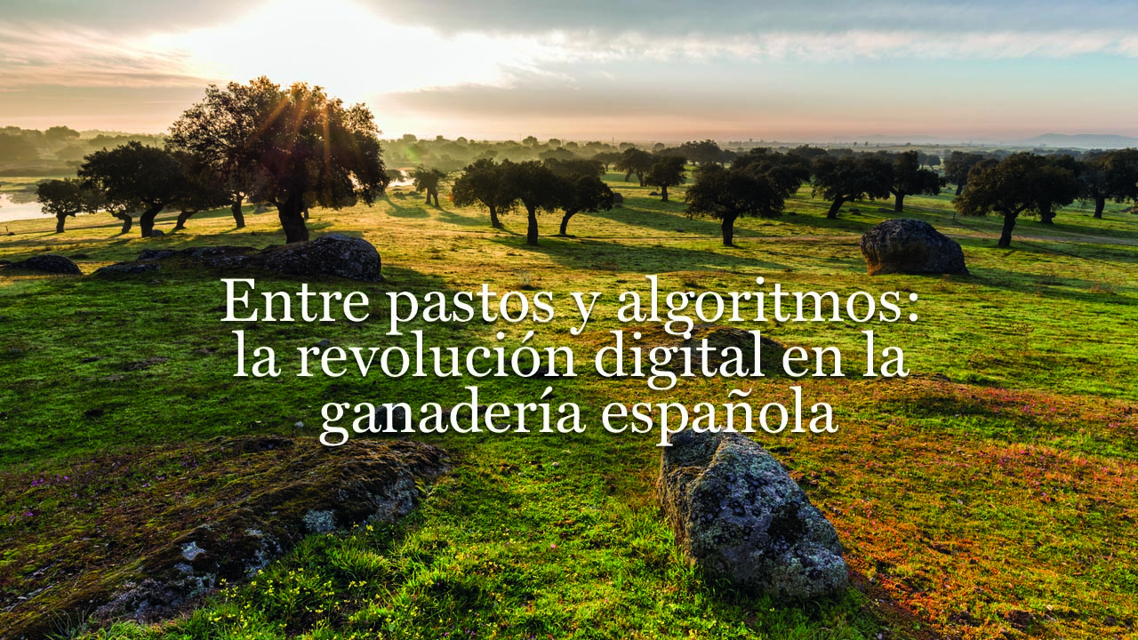 imagen principal noticia