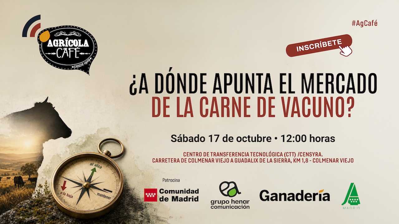 imagen principal noticia