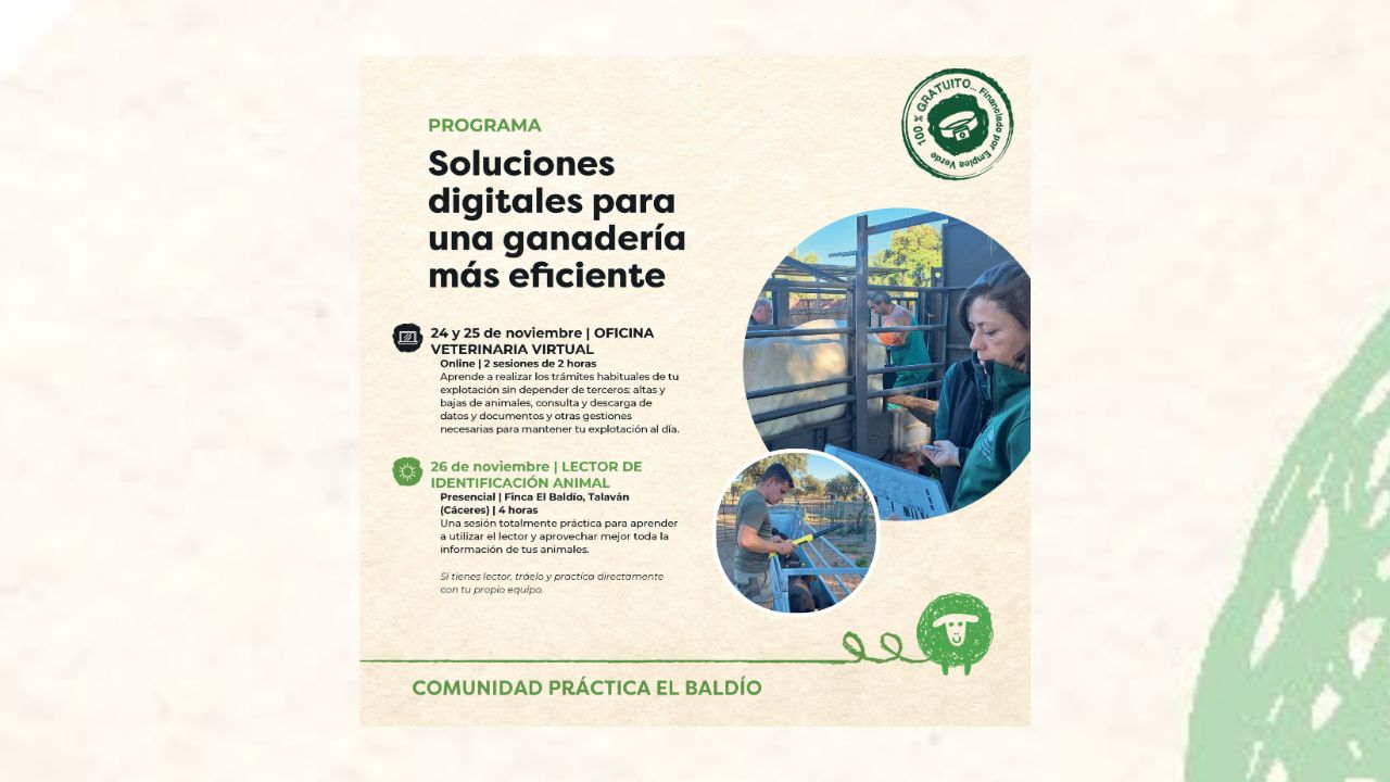 imagen principal noticia