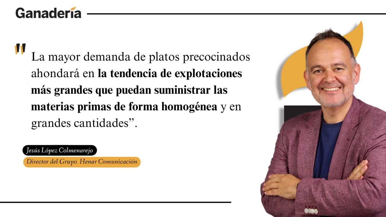 imagen principal noticia