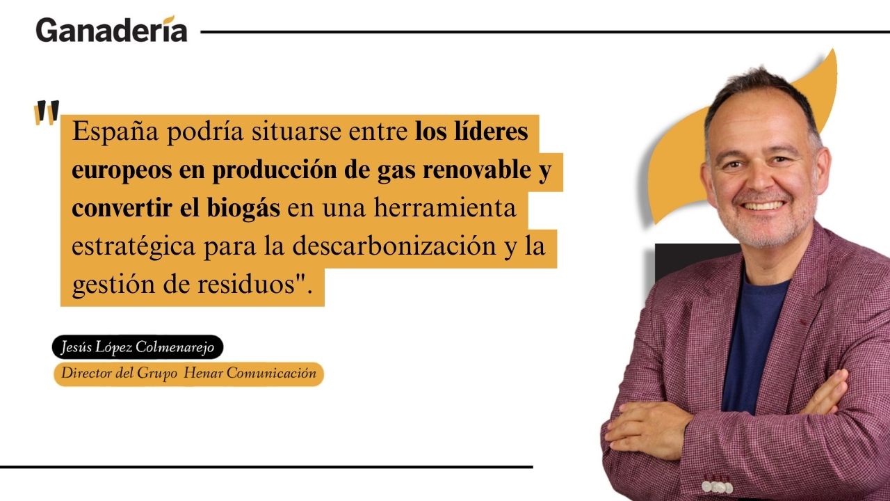 imagen principal noticia