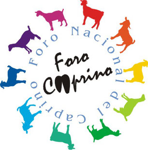 imagen principal noticia