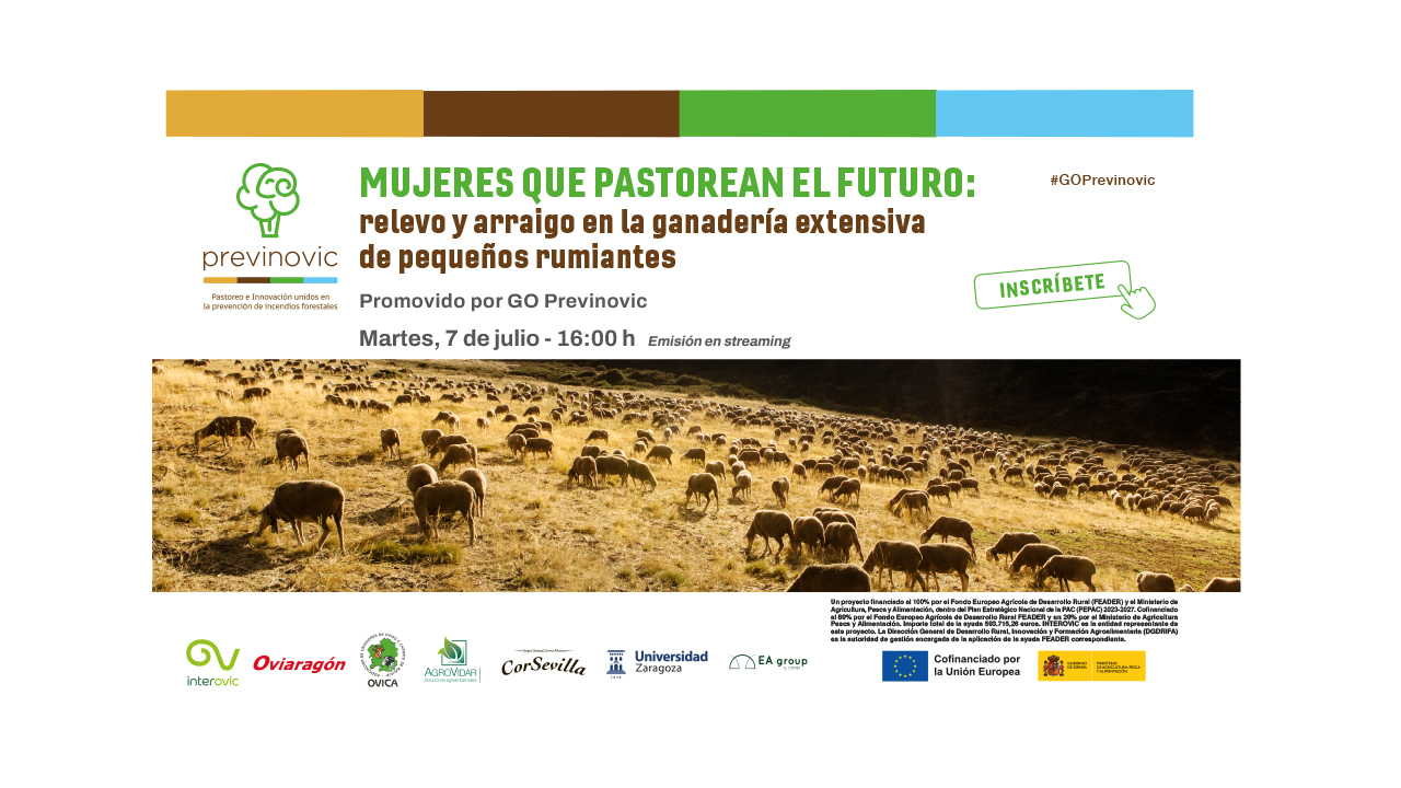 imagen principal noticia